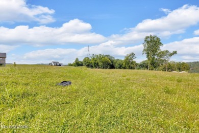 Gorgeous lot in Tennessee National with views of the water on Tennessee National Golf Club in Tennessee - for sale on GolfHomes.com, golf home, golf lot