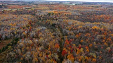 If you are looking for a place to getaway for long weekends or on Riverview Golf Course in Wisconsin - for sale on GolfHomes.com, golf home, golf lot