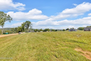 Gorgeous lot in Tennessee National with views of the water on Tennessee National Golf Club in Tennessee - for sale on GolfHomes.com, golf home, golf lot