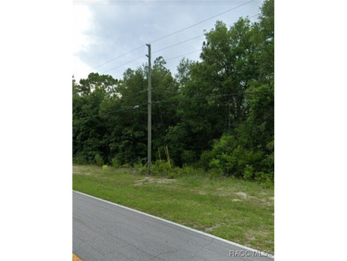 Buildable lot located in Citrus Springs offering a picturesque on Citrus Springs Country Club in Florida - for sale on GolfHomes.com, golf home, golf lot