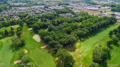 Rare 3.81 Acre Parcel with Twin Beach Golf Course frontage! on Twin Beach Country Club in Michigan - for sale on GolfHomes.com, golf home, golf lot