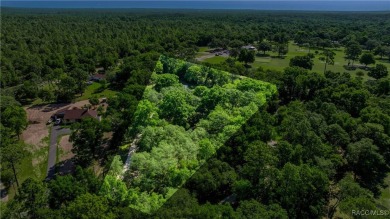 Welcome to a true hidden gem--where luxury living meets hobbyist on Rainbows End Golf Club in Florida - for sale on GolfHomes.com, golf home, golf lot