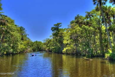 With a private, tranquil water and golf course view, this bright on Spruce Creek Golf Club in Florida - for sale on GolfHomes.com, golf home, golf lot