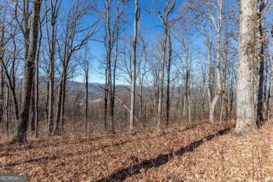 Views, views, views! When you decide to build a home in the on Old Union Golf Course in Georgia - for sale on GolfHomes.com, golf home, golf lot