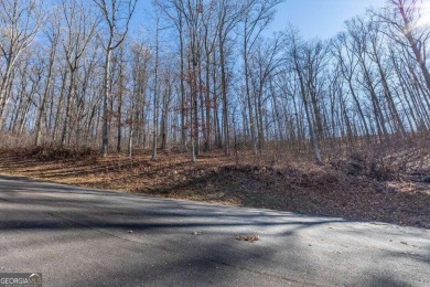 Views, views, views! When you decide to build a home in the on Old Union Golf Course in Georgia - for sale on GolfHomes.com, golf home, golf lot