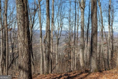 Views, views, views! When you decide to build a home in the on Old Union Golf Course in Georgia - for sale on GolfHomes.com, golf home, golf lot