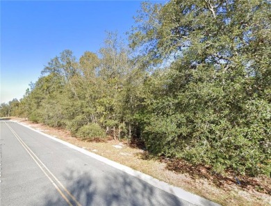 Build your own paradise on this stunning lot nestled within the on Okefenokee Country Club in Georgia - for sale on GolfHomes.com, golf home, golf lot