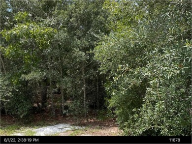 Build your own paradise on this stunning lot nestled within the on Okefenokee Country Club in Georgia - for sale on GolfHomes.com, golf home, golf lot