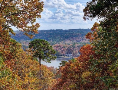Lake Cortez & Mountain Views o Vaulted Ceilings o Arkansas Room on Cortez Golf Course in Arkansas - for sale on GolfHomes.com, golf home, golf lot