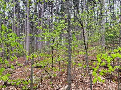 Wooded 2+ acre parcel at the foothills of Schuss Mountain on Schuss Mountain Golf Club in Michigan - for sale on GolfHomes.com, golf home, golf lot