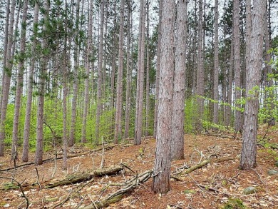 Wooded 2+ acre parcel at the foothills of Schuss Mountain on Schuss Mountain Golf Club in Michigan - for sale on GolfHomes.com, golf home, golf lot