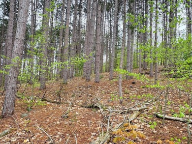 Wooded 2+ acre parcel at the foothills of Schuss Mountain on Schuss Mountain Golf Club in Michigan - for sale on GolfHomes.com, golf home, golf lot