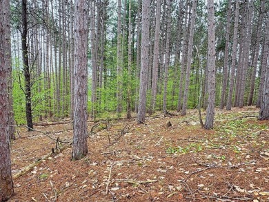 Wooded 2+ acre parcel at the foothills of Schuss Mountain on Schuss Mountain Golf Club in Michigan - for sale on GolfHomes.com, golf home, golf lot