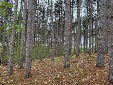 Wooded 2+ acre parcel at the foothills of Schuss Mountain on Schuss Mountain Golf Club in Michigan - for sale on GolfHomes.com, golf home, golf lot