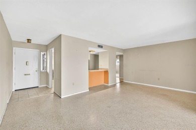 Affordable home in Sun City Center. Close to amenities. The new on North Lakes Golf Course in Florida - for sale on GolfHomes.com, golf home, golf lot