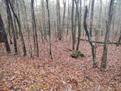 Flatter lot near Ponce de Leon golf course and Lake Balboa.  Wet on Ponce De Leon Golf Course in Arkansas - for sale on GolfHomes.com, golf home, golf lot