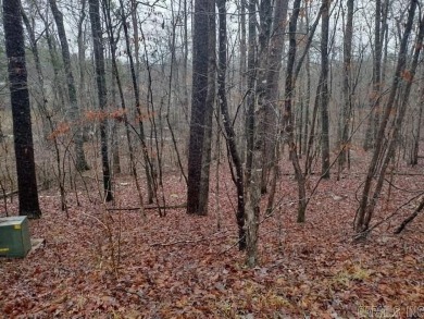 Flatter lot near Ponce de Leon golf course and Lake Balboa.  Wet on Ponce De Leon Golf Course in Arkansas - for sale on GolfHomes.com, golf home, golf lot
