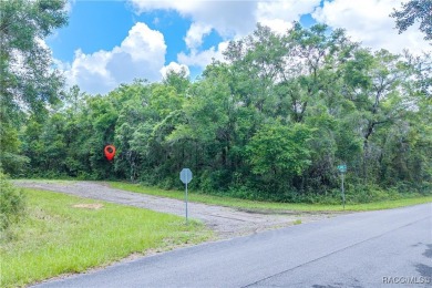 Don't miss this oversized, flat, and buildable .30-acre lot in on Citrus Springs Country Club in Florida - for sale on GolfHomes.com, golf home, golf lot