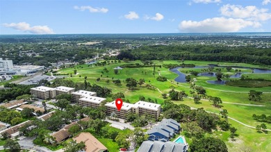 Discover carefree living in the vibrant 55+ community of Green on Tarpon Springs Golf Course in Florida - for sale on GolfHomes.com, golf home, golf lot