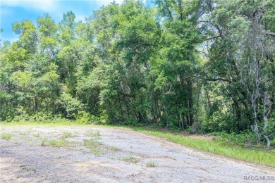 Don't miss this oversized, flat, and buildable .30-acre lot in on Citrus Springs Country Club in Florida - for sale on GolfHomes.com, golf home, golf lot