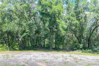 Don't miss this oversized, flat, and buildable .30-acre lot in on Citrus Springs Country Club in Florida - for sale on GolfHomes.com, golf home, golf lot