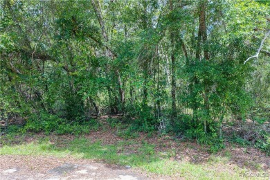 Don't miss this oversized, flat, and buildable .30-acre lot in on Citrus Springs Country Club in Florida - for sale on GolfHomes.com, golf home, golf lot