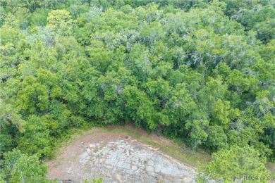 Don't miss this oversized, flat, and buildable .30-acre lot in on Citrus Springs Country Club in Florida - for sale on GolfHomes.com, golf home, golf lot