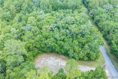 Don't miss this oversized, flat, and buildable .30-acre lot in on Citrus Springs Country Club in Florida - for sale on GolfHomes.com, golf home, golf lot