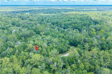 Don't miss this oversized, flat, and buildable .30-acre lot in on Citrus Springs Country Club in Florida - for sale on GolfHomes.com, golf home, golf lot