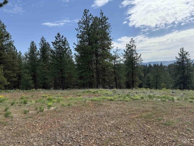 Lot 7 Block 1 can be accessed from the lower Van Dorn Rd or the on Meadowcreek Golf Resort in Idaho - for sale on GolfHomes.com, golf home, golf lot