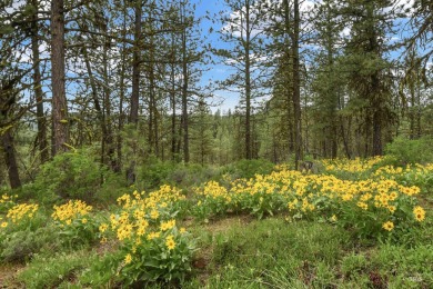 Lot 7 Block 1, conveniently accessible from both the lower Van on Meadowcreek Golf Resort in Idaho - for sale on GolfHomes.com, golf home, golf lot