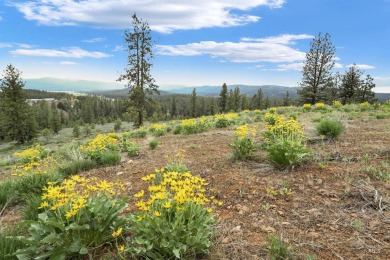 Lot 7 Block 1, conveniently accessible from both the lower Van on Meadowcreek Golf Resort in Idaho - for sale on GolfHomes.com, golf home, golf lot