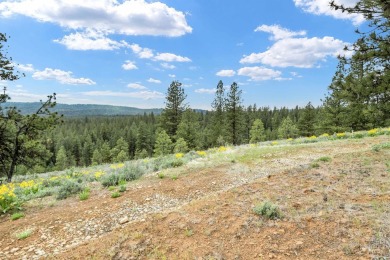 Lot 7 Block 1, conveniently accessible from both the lower Van on Meadowcreek Golf Resort in Idaho - for sale on GolfHomes.com, golf home, golf lot