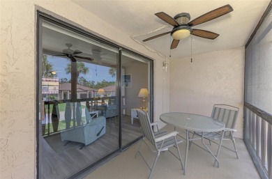 Ideal and affordable Florida winter home in Rotonda West on Rotonda Golf and Country Club The Hills Course in Florida - for sale on GolfHomes.com, golf home, golf lot