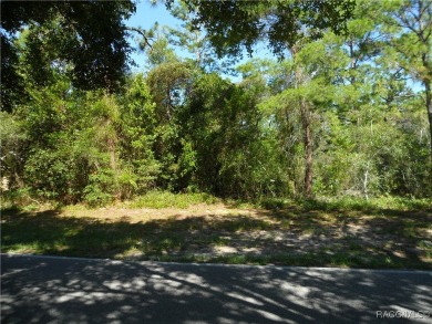 This .34 acre oversized lot is NOT in a flood zone and is on Sugarmill Woods Golf and Country Club in Florida - for sale on GolfHomes.com, golf home, golf lot