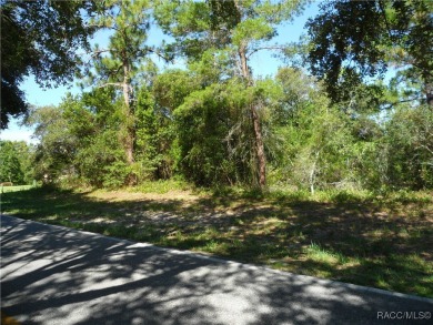 This .34 acre oversized lot is NOT in a flood zone and is on Sugarmill Woods Golf and Country Club in Florida - for sale on GolfHomes.com, golf home, golf lot