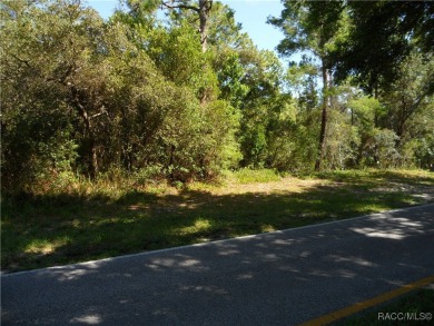 This .34 acre oversized lot is NOT in a flood zone and is on Sugarmill Woods Golf and Country Club in Florida - for sale on GolfHomes.com, golf home, golf lot