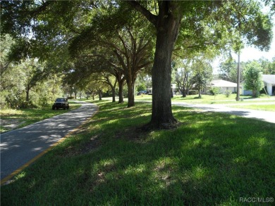 This .34 acre oversized lot is NOT in a flood zone and is on Sugarmill Woods Golf and Country Club in Florida - for sale on GolfHomes.com, golf home, golf lot