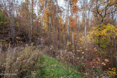 This .73 acre lot nestled within the coveted Cobbly Knob on Bent Creek Golf Course in Tennessee - for sale on GolfHomes.com, golf home, golf lot