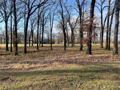 This lot has an amazing water view in the front of the property on Pinnacle Golf and Boat Club in Texas - for sale on GolfHomes.com, golf home, golf lot