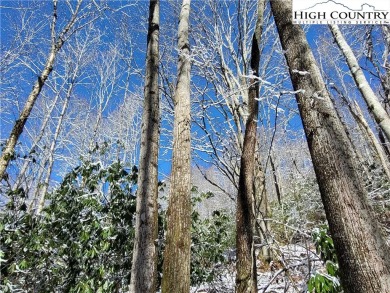 Come build your mountain home on this Jackpine lot between Beech on Beech Mountain Club in North Carolina - for sale on GolfHomes.com, golf home, golf lot