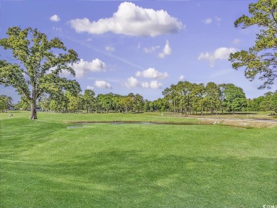 This one is a must-see! Wake up every morning to stunning views on The Valley At Eastport in South Carolina - for sale on GolfHomes.com, golf home, golf lot