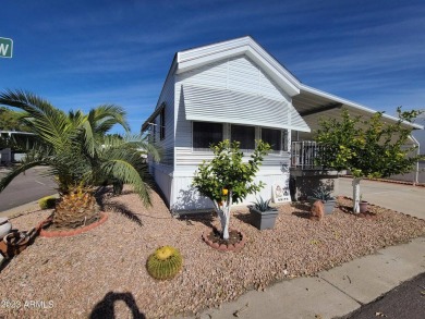 Rare Corner Lot Location, 2 Car Plus Golf Cart Parking, Detached on Viewpoint Golf Resort in Arizona - for sale on GolfHomes.com, golf home, golf lot