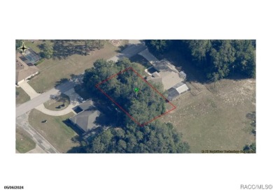 23 acre lot/homesite 80 by 125 feet that is ready to build your on Citrus Springs Country Club in Florida - for sale on GolfHomes.com, golf home, golf lot
