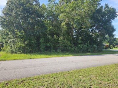 23 acre lot/homesite 80 by 125 feet that is ready to build your on Citrus Springs Country Club in Florida - for sale on GolfHomes.com, golf home, golf lot
