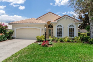 Live the Lifestyle You've Been Dreaming Of -- A Stunning Golf on Skyview At Terra Vista Golf and Country Club in Florida - for sale on GolfHomes.com, golf home, golf lot