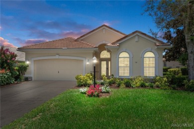 Live the Lifestyle You've Been Dreaming Of -- A Stunning Golf on Skyview At Terra Vista Golf and Country Club in Florida - for sale on GolfHomes.com, golf home, golf lot