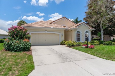 Live the Lifestyle You've Been Dreaming Of -- A Stunning Golf on Skyview At Terra Vista Golf and Country Club in Florida - for sale on GolfHomes.com, golf home, golf lot