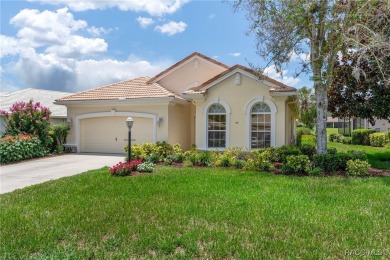 Live the Lifestyle You've Been Dreaming Of -- A Stunning Golf on Skyview At Terra Vista Golf and Country Club in Florida - for sale on GolfHomes.com, golf home, golf lot