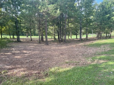 Mount Vintage is an ideal location for those interested in a on Mount Vintage Plantation and Golf Club  in South Carolina - for sale on GolfHomes.com, golf home, golf lot